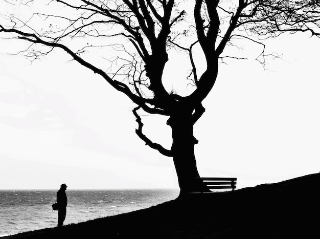 Foto silhueta de árbol y hombre junto al lago contra un cielo despejado.