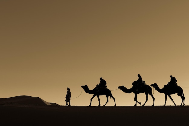 Silhueta de camello de gente montando camellos en el desierto contra el cielo durante la puesta de sol en el desierta del Sáhara
