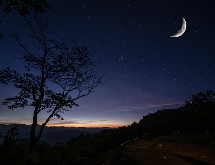 Foto silhueta da árvore no topo do ponto de vista da montanha contra muitas estrelas com lua croissant e pouca luz solar no início da manhã, paisagem vista no conceito de turismo natural