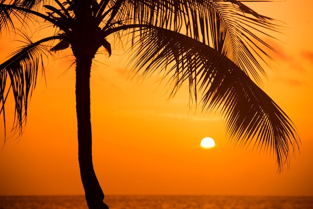 Foto silhueta das palmeiras na praia tropical do sol. pôr do sol laranja.