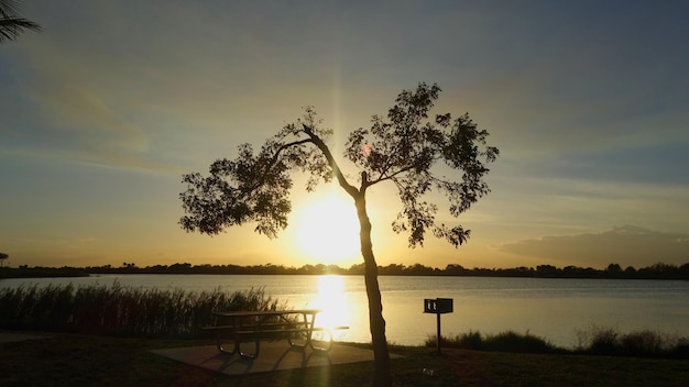 Foto silhueta de árvore ao lado do lago contra o céu durante o pôr do sol