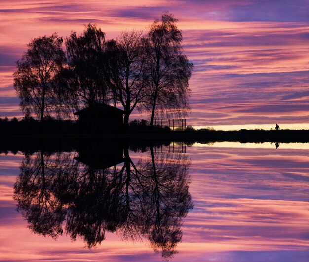 Foto silhueta de árvore ao lado do lago contra o céu durante o pôr do sol