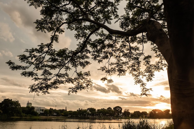 Silhueta de árvore ao pôr do sol próximo ao lago do rio