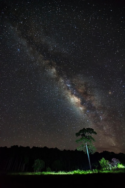 Silhueta de árvore com nuvem e Via Láctea no Parque Nacional Phu Hin Rong Kla Phitsanulok