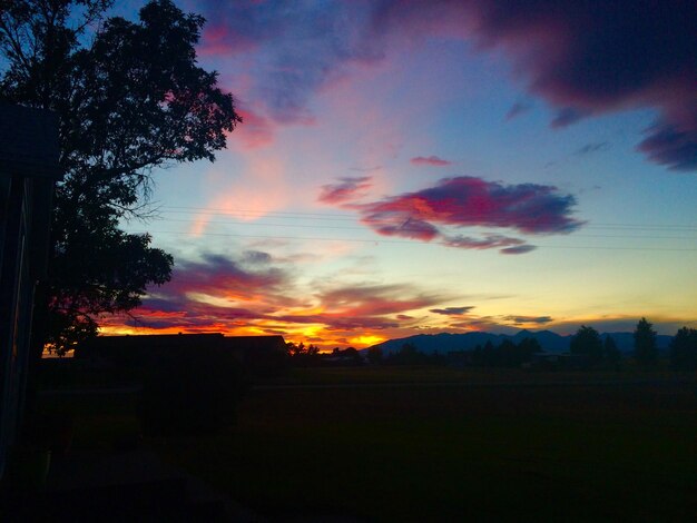 Foto silhueta de árvores ao pôr-do-sol