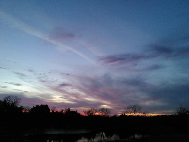 Foto silhueta de árvores ao pôr-do-sol