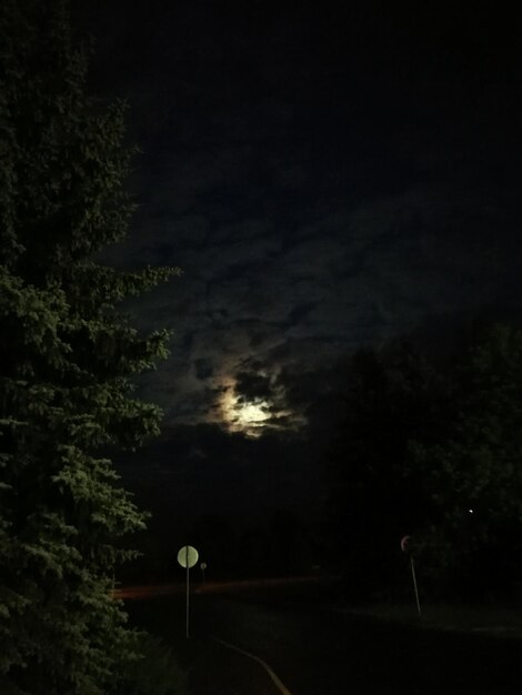 Silhueta de árvores contra o céu à noite