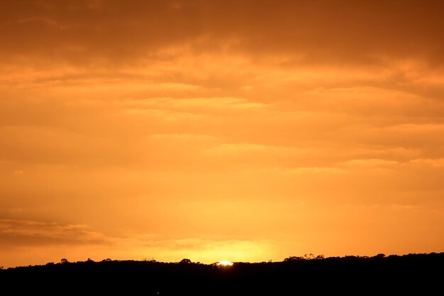 Silhueta de árvores contra o céu durante o pôr-do-sol