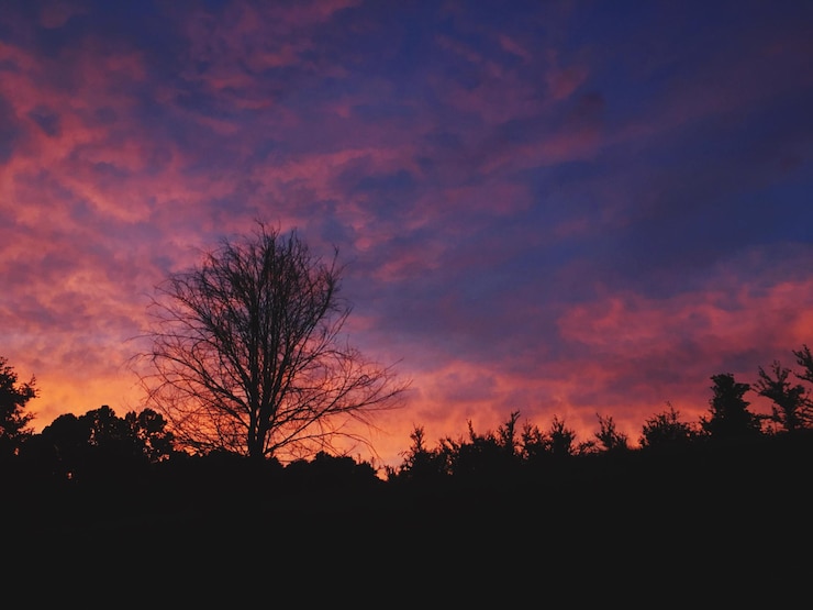 Foto silhueta de árvores contra o céu durante o pôr do sol