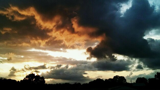 Foto silhueta de árvores contra o céu nublado ao pôr-do-sol