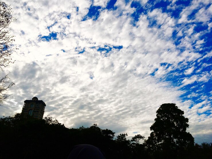 Foto silhueta de árvores e edifícios em baixo ângulo de visão contra o céu nublado