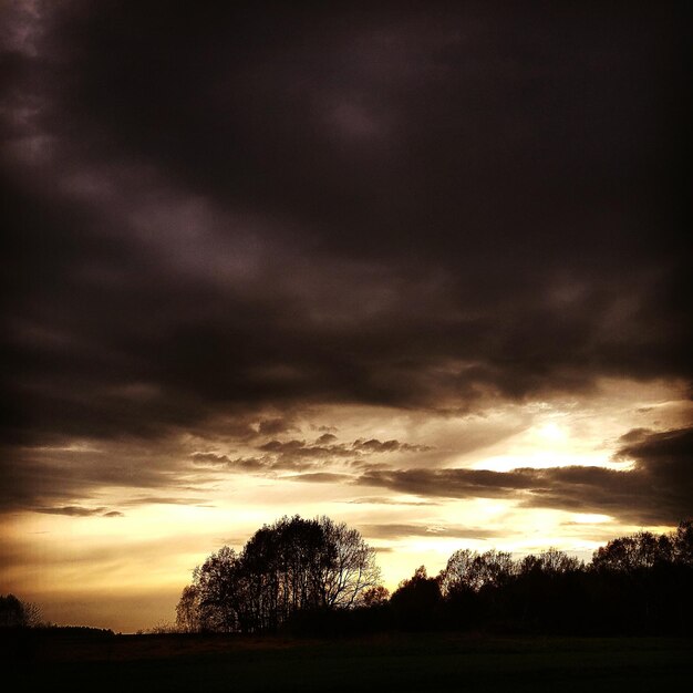 Foto silhueta de árvores na paisagem contra o céu nublado