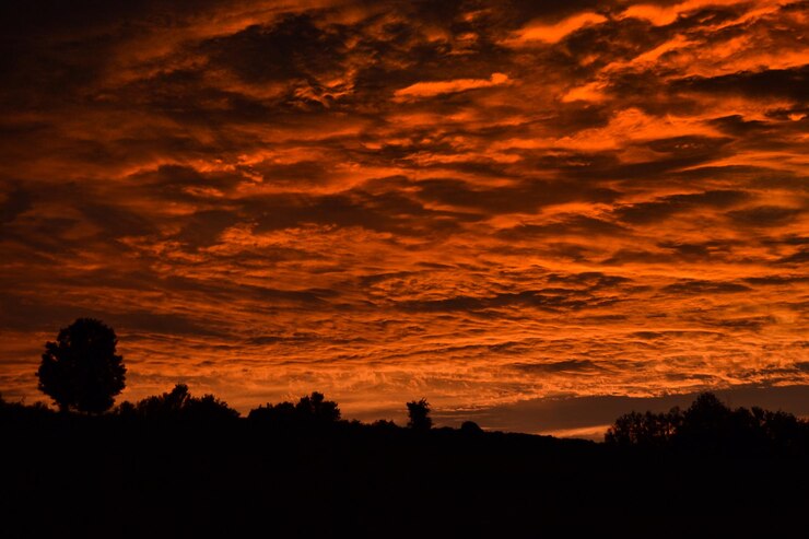 Foto silhueta de árvores no campo contra o céu nublado
