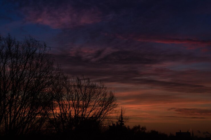 Foto silhueta de árvores nuas contra o céu ao pôr-do-sol