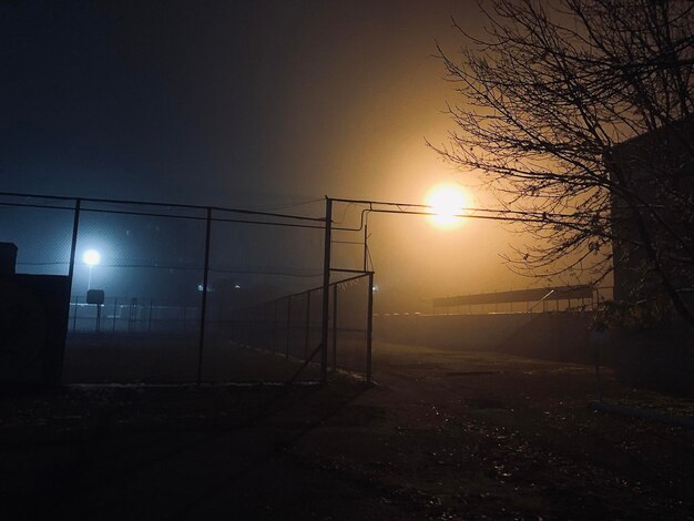 Foto silhueta de árvores nuas contra o céu durante o pôr do sol