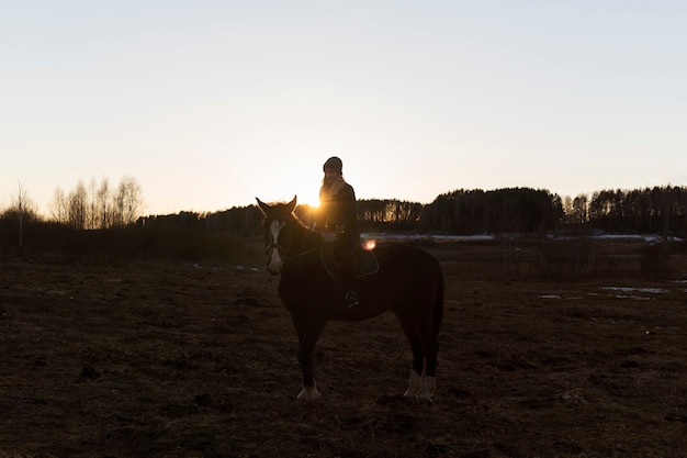 Foto silhueta de cavalo elegante contra o céu do amanhecer