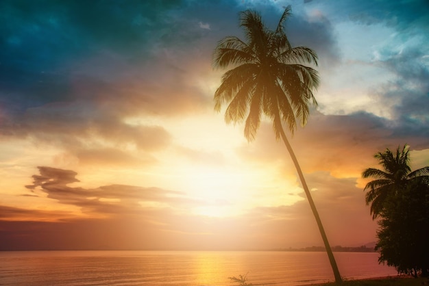 Silhueta de coqueiros na praia ao pôr do sol. Tom vintage.