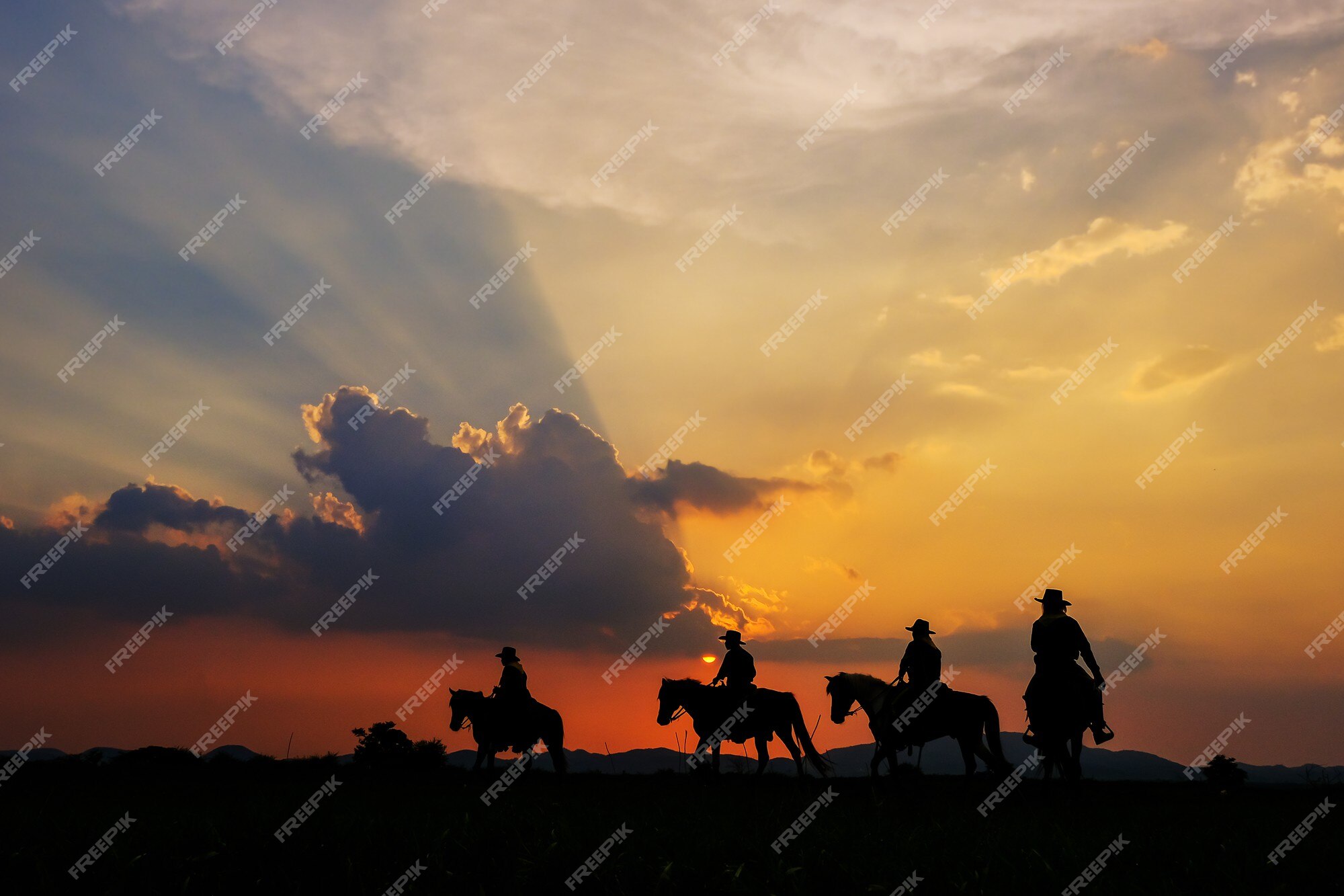 Estátua De Cavalo Em Frente a Um Céu Nublado Foto de Stock - Imagem de  animal, olho: 221252936