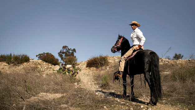 Silhueta de cowboy com cavalo contra luz quente