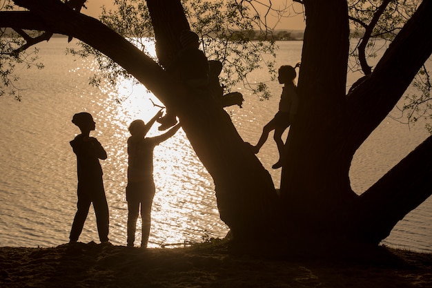 Foto silhueta de crianças brincando em uma árvore de um pôr do sol sobre o lago.