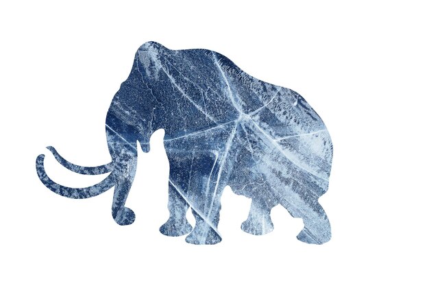 Silhueta de elefante com textura de gelo azul isolada no fundo branco