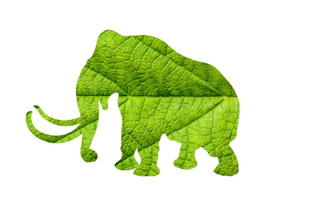 Silhueta de elefante com textura de planta isolada no fundo branco