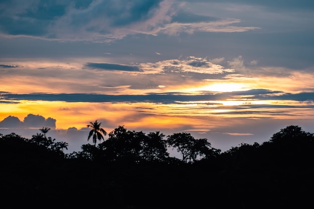 Silhueta de floresta com palmeiras na praia ao pôr do sol