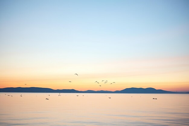 Foto silhueta de gaivotas se aconchegando enquanto o pôr-do-sol colora o horizonte