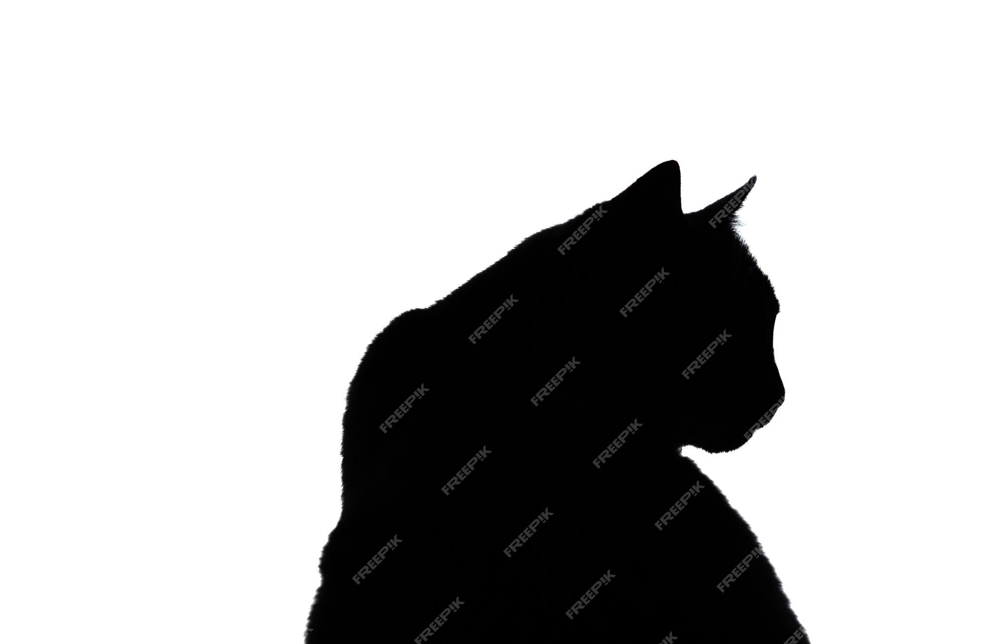 Silhueta De Gato Preto. Entregue A Ilustração Do Desenho Isolada No Fundo  Branco. Ilustraciones svg, vectoriales, clip art vectorizado libre de  derechos. Image 32380543