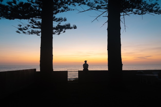 Silhueta de homem sentado debaixo de árvores observando o nascer do sol em um conceito de pensamento de fundo de paisagem marítima