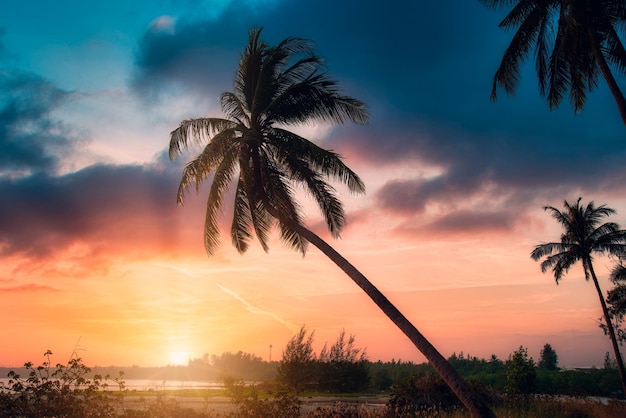 Silhueta de palmeiras de coco na praia ao pôr do sol Tom Vintage