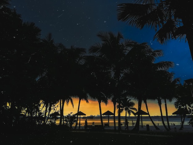 Foto silhueta de palmeiras junto ao mar contra o céu durante o pôr-do-sol