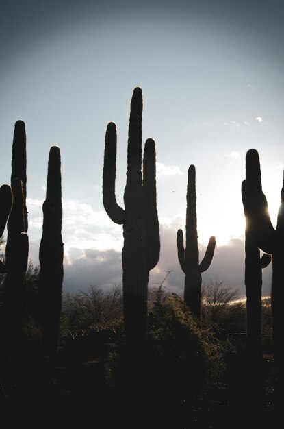 Foto silhueta de pessoas ao pôr-do-sol