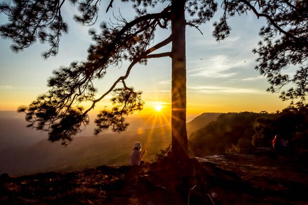 Foto silhueta de pessoas sentadas junto a uma árvore contra o céu durante o pôr do sol