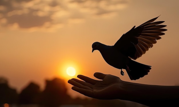 Silhueta de pombo voando de duas mãos e conceito de liberdade e dia internacional da paz gerador de IA