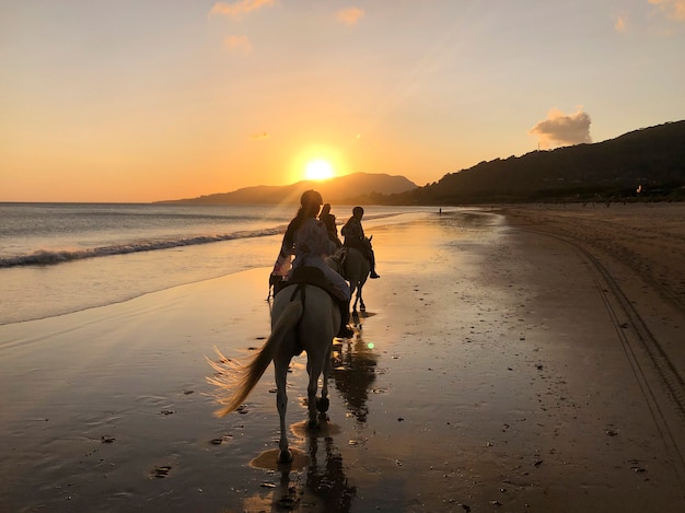 Silhueta de três garotas andando a cavalo na praia ao pôr do sol