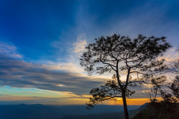 Silhueta de turista no topo da montanha espera para ver o nascer do sol Parque Nacional de Phu Kradueng, Tailândia