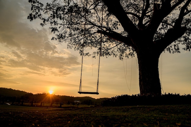 Silhueta de um balanço de madeira debaixo da árvore. Luz dourada solitária e relaxante no pôr do sol nas férias de verão.