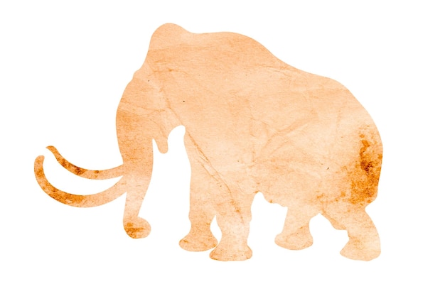 Silhueta de um elefante de papel de embrulho isolado no fundo branco