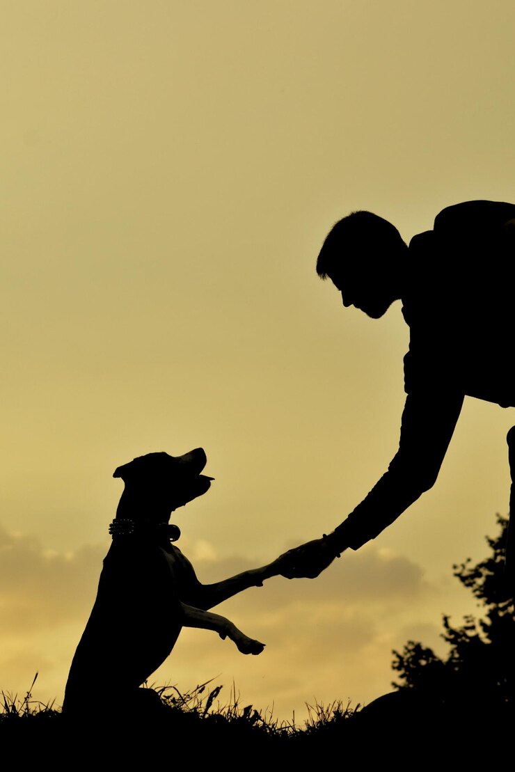 Foto silhueta de um homem dando um aperto de mão a um cão contra o céu durante o pôr do sol
