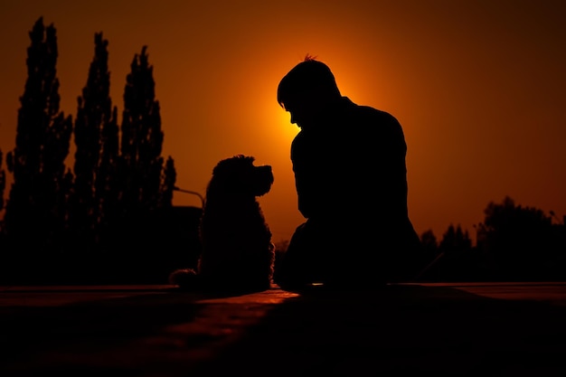 Silhueta de um homem sentado com seu cachorro fox terrier