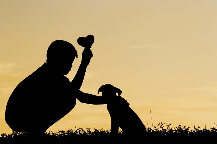 Foto silhueta de um menino com um cachorro agachado no campo contra o céu durante o pôr do sol