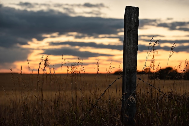 Foto silhueta de um poste cercado por grama com um campo de trigo ao fundo após o pôr do sol