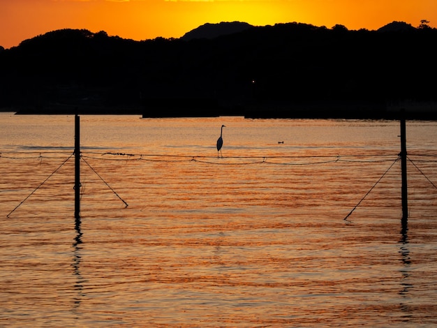 Foto silhueta de uma pessoa a pescar no mar contra um céu laranja