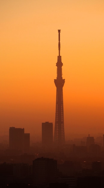 Silhueta do edifício da árvore do céu de Tóquio e paisagem da cidade no pôr do sol da noite.