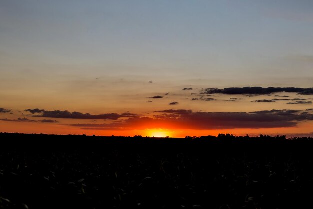 Silhueta do pôr do sol no campo no Brasil