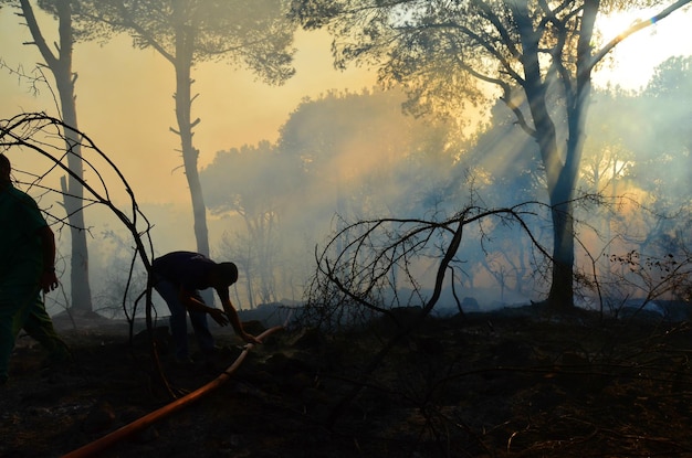 Foto silhueta de un hombre en el bosque contra el cielo al atardecer