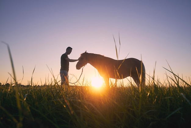 Foto silhueta de un hombre mientras acaricia a un caballo de terapia en el prado al atardecer
