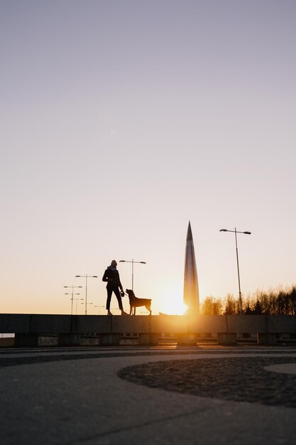 Silhueta de mujer con perro contra el cielo