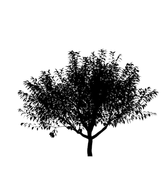 Silhueta negra de uma árvore de folha caduca em um fundo branco